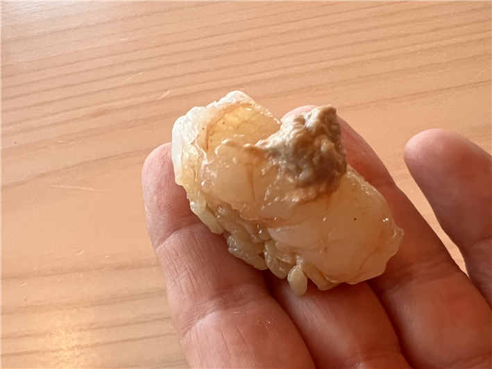 langoustine sushi